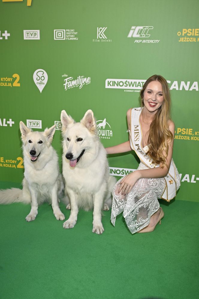 "O psie, który jeździł koleją 2" - premiera filmu