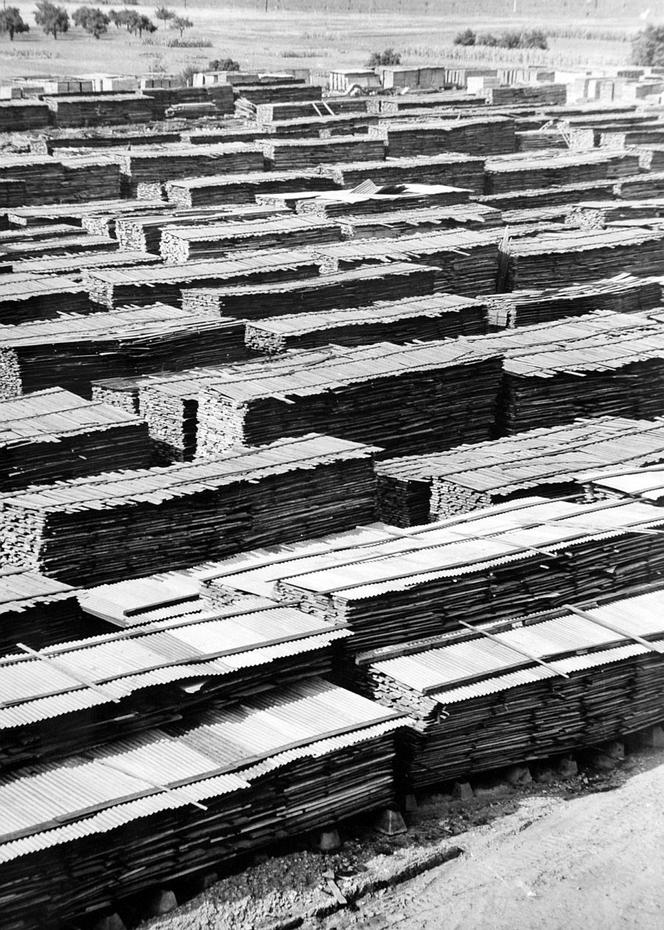 Suszenie drewna w fabryce Thoneta