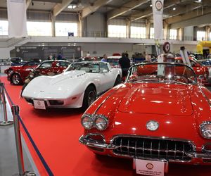 Retro Motor Show rozpoczęte! Wyjątkowe samochody na MTP!