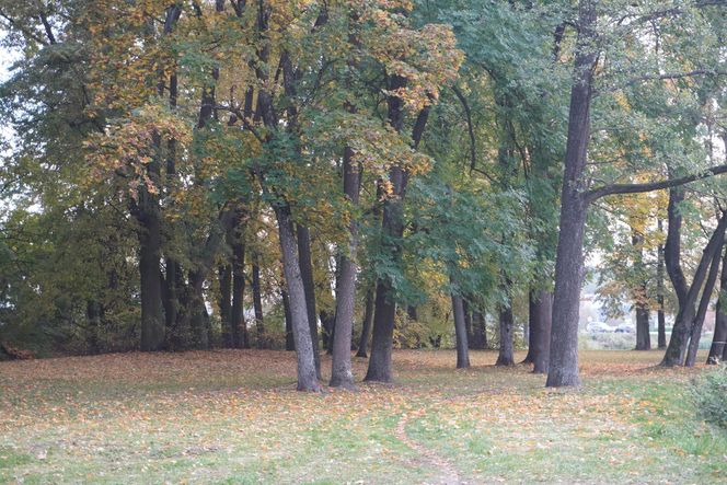 Park Lubomirskich w Białymstoku jesienią 