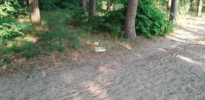 Tak wygląda dzika plaża w Smukale