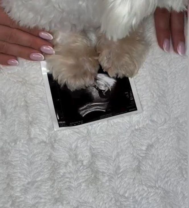 Klaudia z Rolnik szuka żony