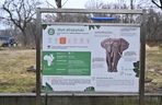 Warszawskie zoo