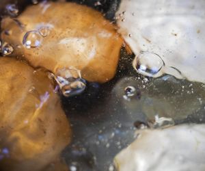 To najzdrowszy wybór na śniadanie. Uwielbia je Robert Makłowicz