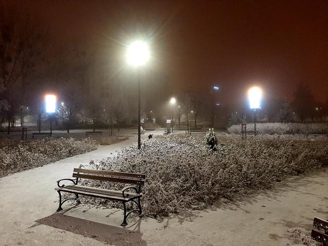 Ze szronem są jeszcze piękniejsze! Świąteczne iluminacje w Łomży