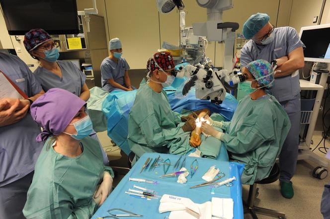 Poważna operacja w szpitalu w Słupsku. Ratują życie przy użyciu nowego sprzętu