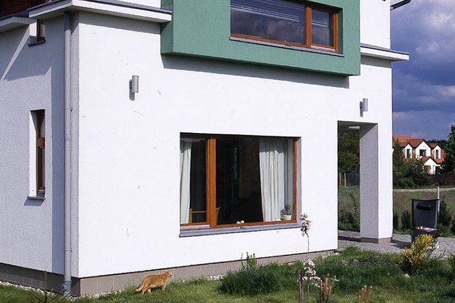 Wykusz