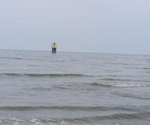 Badanie geologiczne na plaży w Lubiatowie. Budowa elektrowni jądrowej w gminie Choczewo