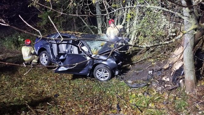 Śmiertelny wypadek pod Bełchatowem. 29-latka uderzyła audi w drzewo [ZDJĘCIA]