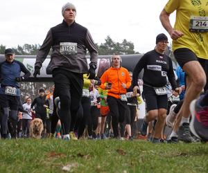 Rekordowy bieg City Trail w bydgoskim Myślęcinku [ZDJĘCIA]