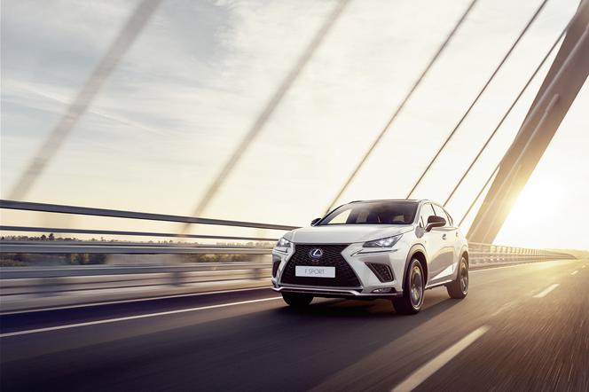 Lexus NX lifting 2018