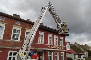 Pies utknął na dachu. Do zejścia strażacy przekonali go kiełbasą