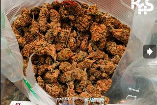 Kilogram marihuany w sortowni poczty w Zabrzu. Śląska KAS zabezpieczyła przesyłkę z południowej Afryki
