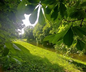 Park Miejski w Zamościu