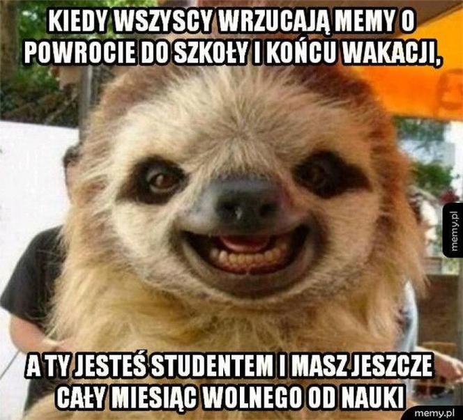Najlepszy z okazji zakończenia wakacji i początku roku szkolnego!