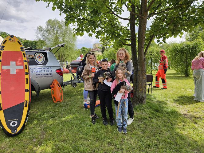 Festiwal Przyjaciół Zwierząt w Olsztynie. Park Centralny opanowały radosne pieski