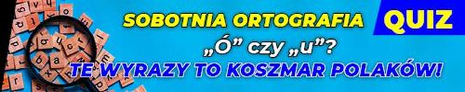 QUIZ. Sobotnia ortografia. Ó czy u? Te wyrazy to koszmar Polaków! 