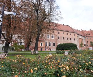 Wawel jesienią