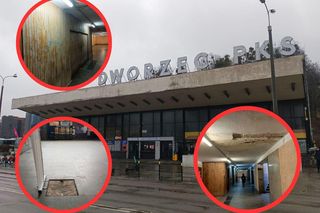 Co z budynkiem dworca PKS w Gdańsku? Jego stan jest tragiczny