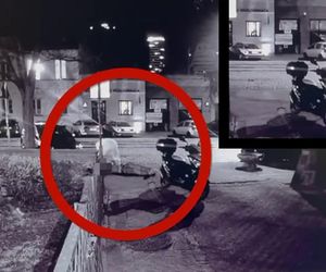 Rosjanin kopnął go w twarz i odjechał skuterem. Zrobił to za 200 złotych