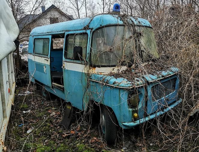 Niesamowite cmentarzysko samochodów. Te wraki robią wrażenie! 
