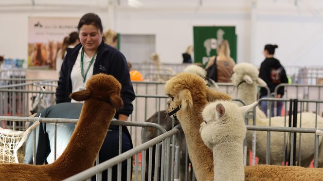 Tak wyglądał Zoopark 2024 w Lublinie! Zobacz zdjęcia