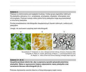 Matura 2025: biologia 9.05.2025. Arkusze CKE i odpowiedzi [Formuła 2015]