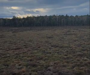 Katarzyna Cichopek i Maciej Kurzajewski poprawiny