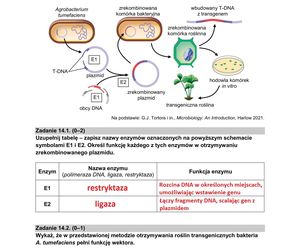 Matura 2025: biologia 9.05.2025. Arkusze CKE i odpowiedzi [Formuła 2015]