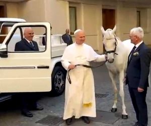 Papież Leon XIV otrzymał w środę białego konia czystej krwi arabskiej ze stadniny w Kołobrzegu-Budzistowie