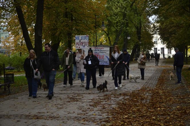 Wielki marsz adopciaków w Radomiu