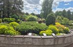 Arboretum w Bolestraszycach 