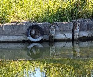 Niski poziom wody w jeziorze Śniardwy. Mazurscy ratonicy ostrzegają żeglarzy! [ZDJĘCIA]