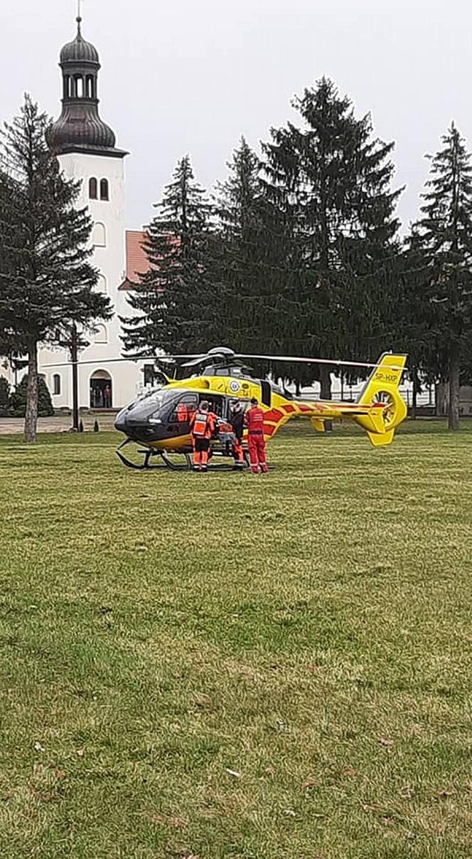 Maję zabiło spróchniałe drzewo w parku