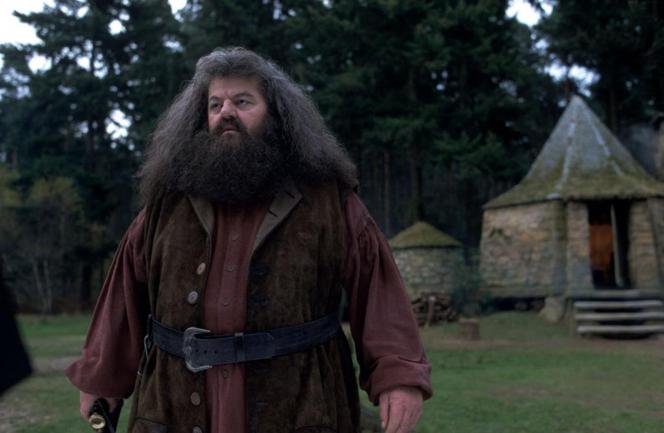 Robbie Coltrane (30 marca 1950 –14 października 2022) 