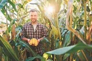 Niskie ceny w skupie zabierają ci zyski? Zrzeszenie się może pomóc odzyskać nawet 90% wartości plonów