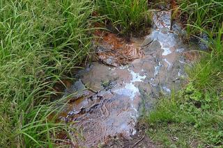 Mofety w Polsce - co mają wspólnego z wulkanami? Gdzie je znaleźć? Czym są?