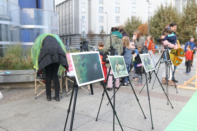 Ulicami Katowic przeszedł I Marsz Śląskiej Przyrody. Wydarzenie, jakiego jeszcze nie było