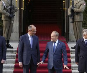 Premier Donald Tusk oraz kanclerz Niemiec Friedrich Merz 
