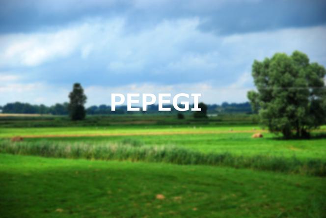 Pepegi