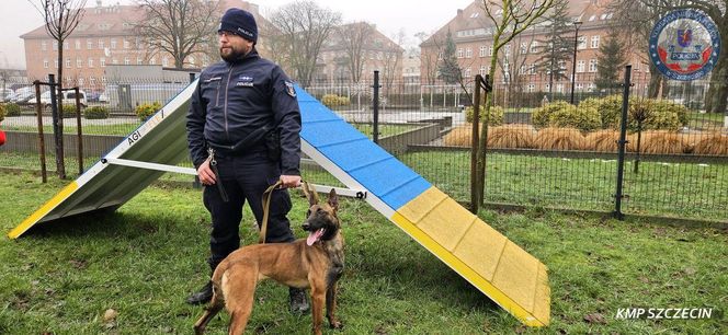 Nowe psy w zachodniopomorskiej policji