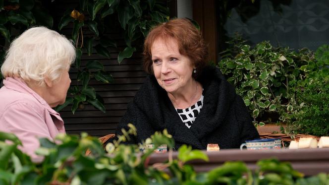 M jak miłość, odcinek 1631: Barbara odnajdzie po latach przyjaciółkę, która chciała jej odebrać ukochanego! To babcia Marzenki – ZDJĘCIA