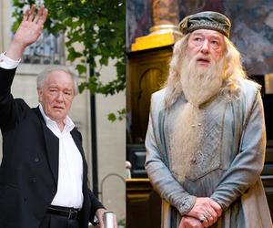 Odszedł czarodziej Dumbledore z Harry'ego Pottera! Michael Gambon nie żyje