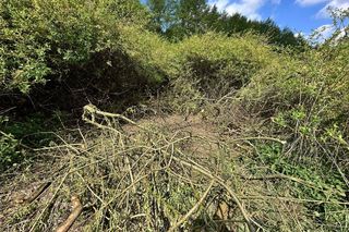 Zabił 16-letnią Maję z wyjątkowym okrucieństwem. Bartłomiej G. zatrzymany w Grecji 