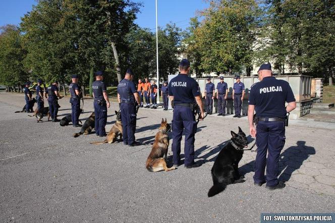 XX  Kynologiczne Mistrzostwa Polski