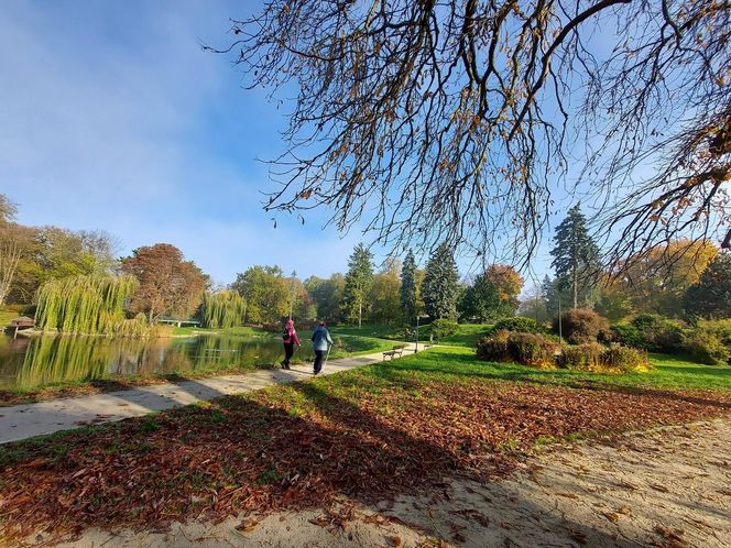 Zamojski Park jesienią