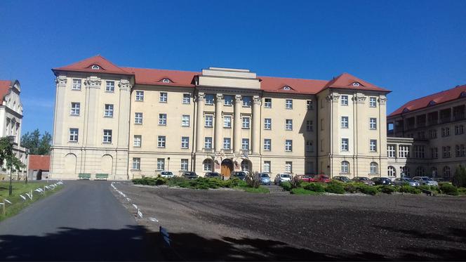Święcenia kapłańskie w archidiecezji gnieźnieńskiej