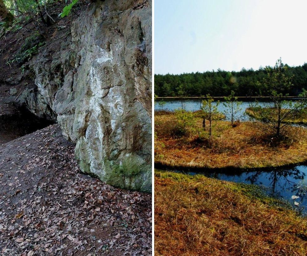 Kujawsko-Pomorskie niczym Bieszczady. Te krajobrazy w regionie koniecznie koniecznie musisz zobaczyć!