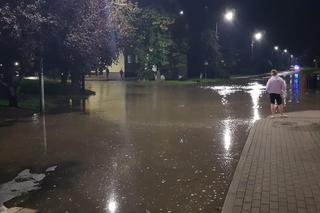 Powódź w Lewinie Brzeskim. Wylała Nysa Kłodzka