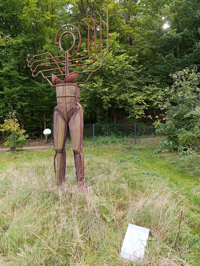 Zaczarowany ogród Alicji w Krainie Czarów i ścieżka spacerowa w lesie. Leśny Ogród Botaniczny Marszewo